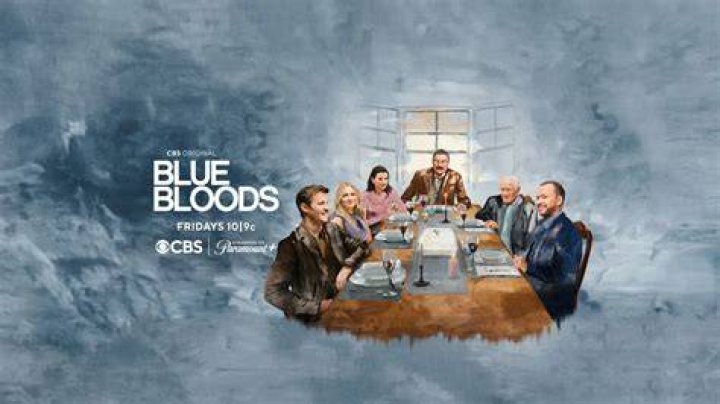 Blue Bloods' Vanessa Ray Enjoys The Challenge Of Bringing RealLife