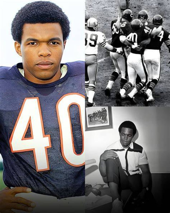 Gale Sayers ran like no one before or since the most purely beautiful