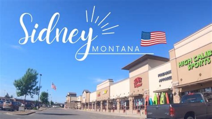 Who Are Sydney, Montana And Hunter Keys? Madison Keys Sister